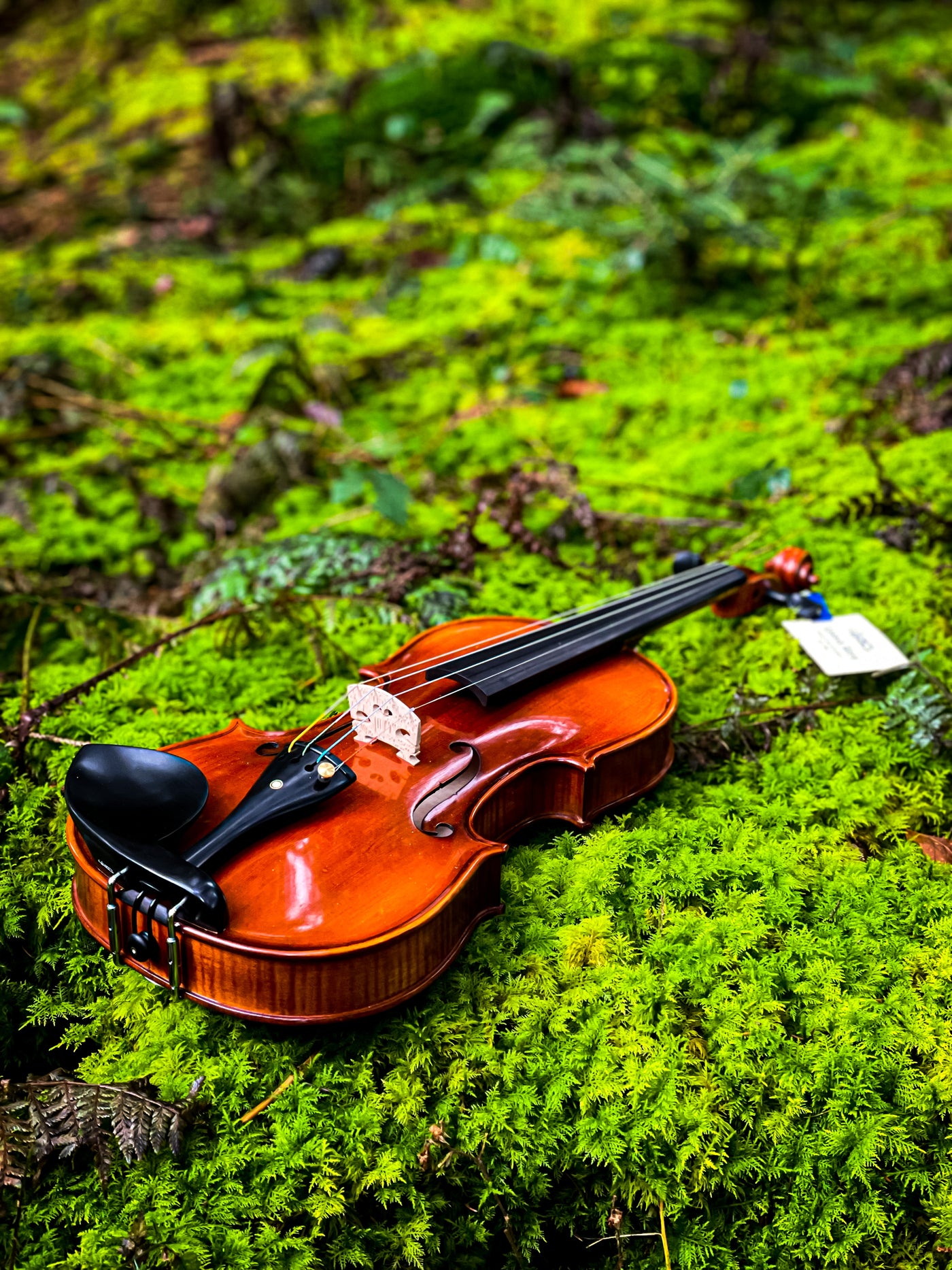 METROPOL Violine #115 MET