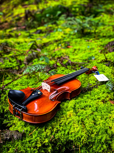 METROPOL Violine #115 MET