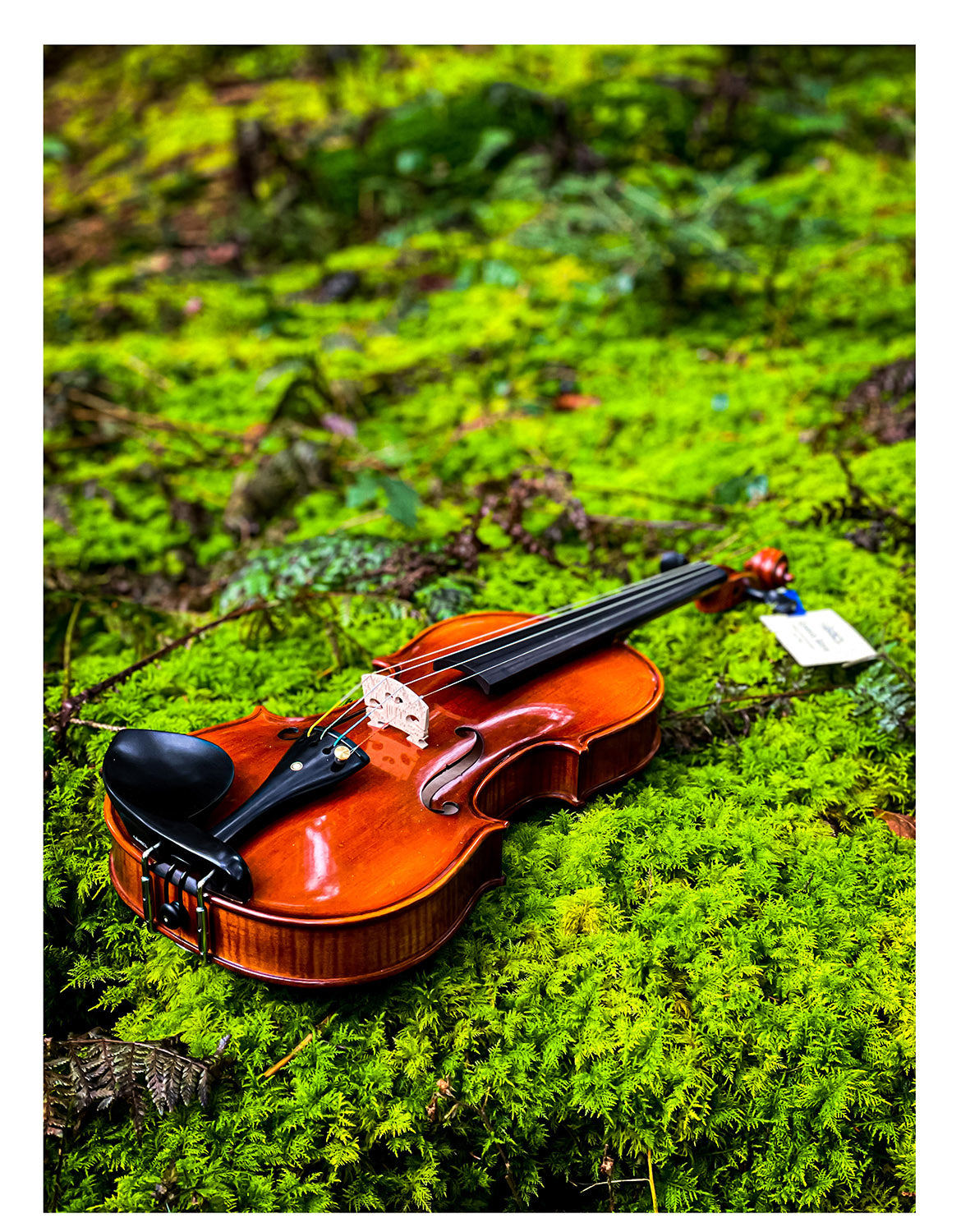 METROPOL Violin #112 MET