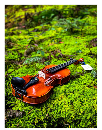 METROPOL Violin #112 MET