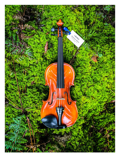 METROPOL Violin #112 MET