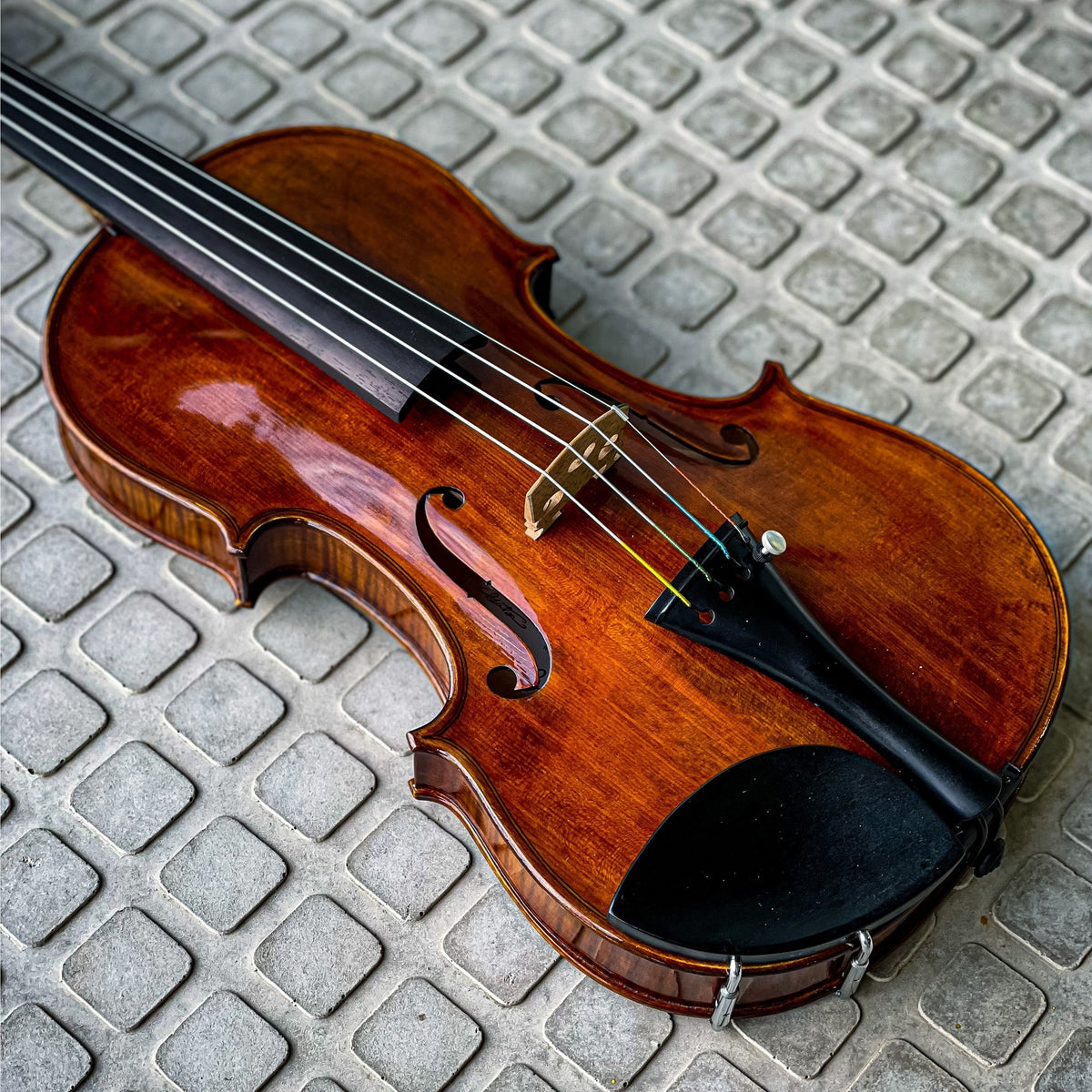 CONTEMPORARY Violin #115 CT, CG-115CT-4_4