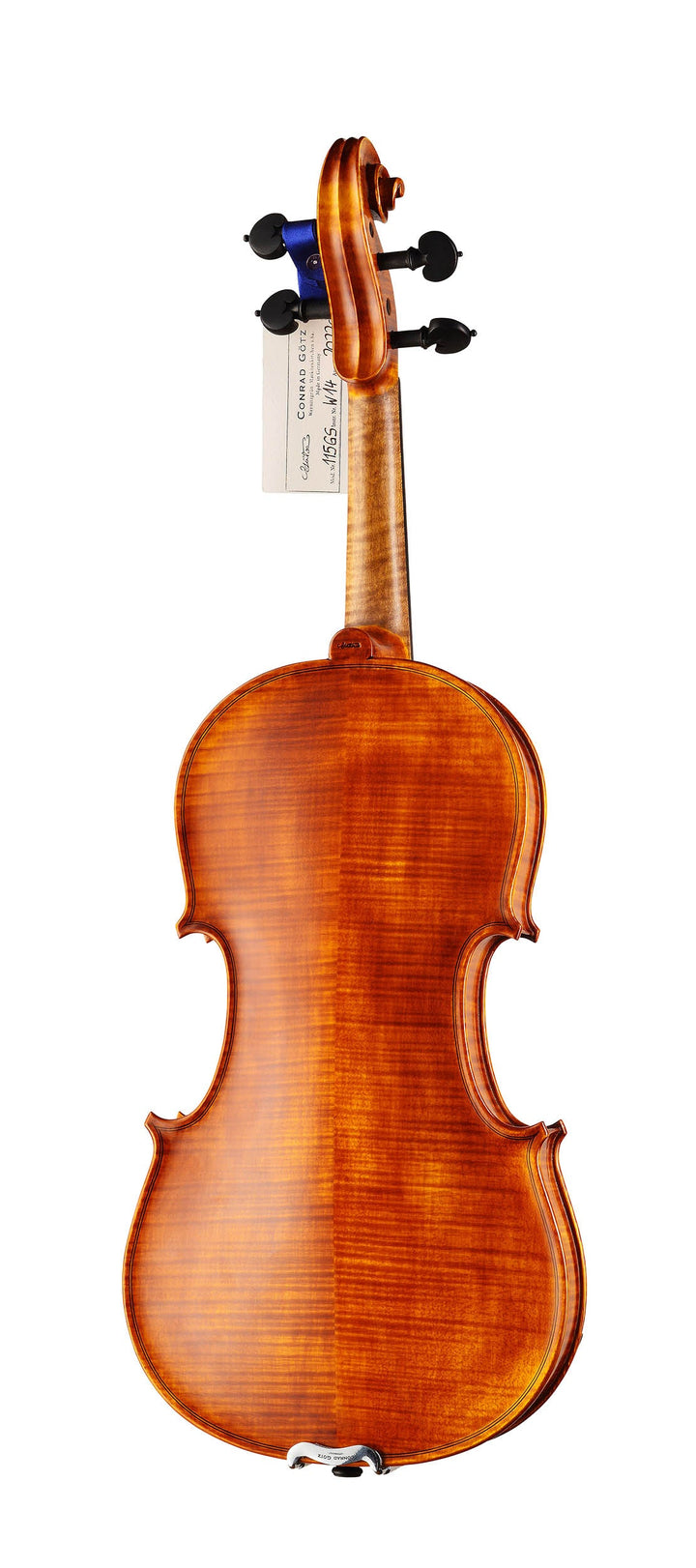GOLDEN STATE Violine 