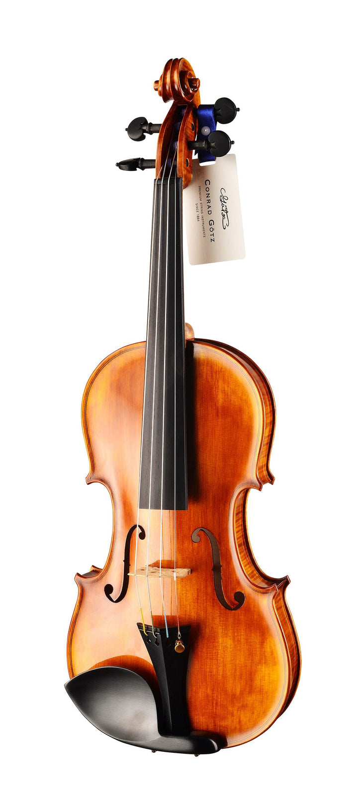 GOLDEN STATE Violine 