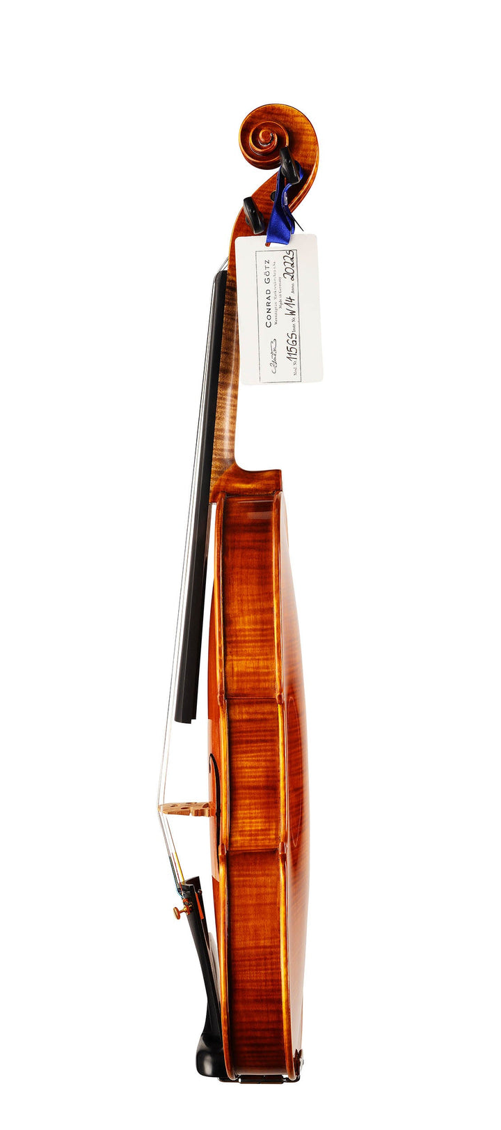 GOLDEN STATE Violine 