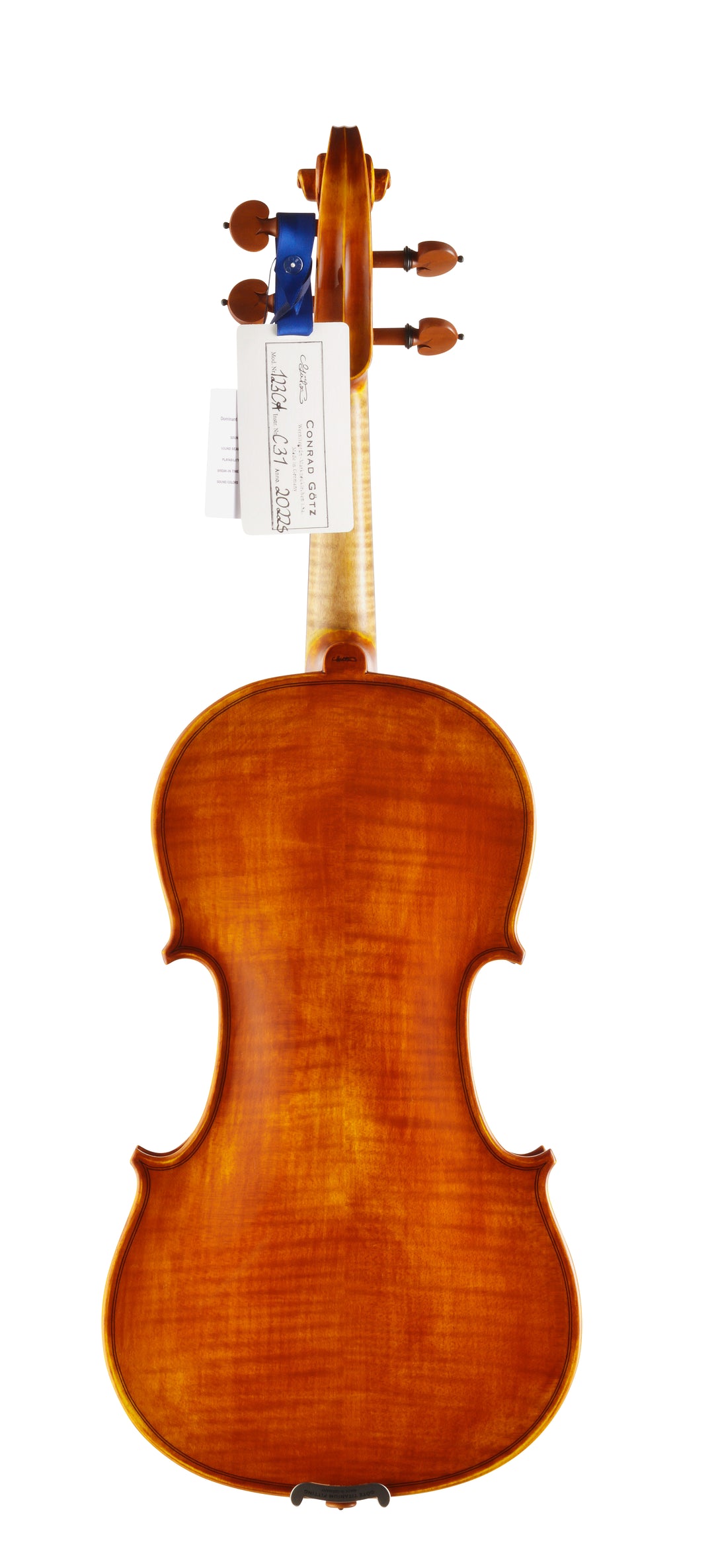 CANTONATE Violine 