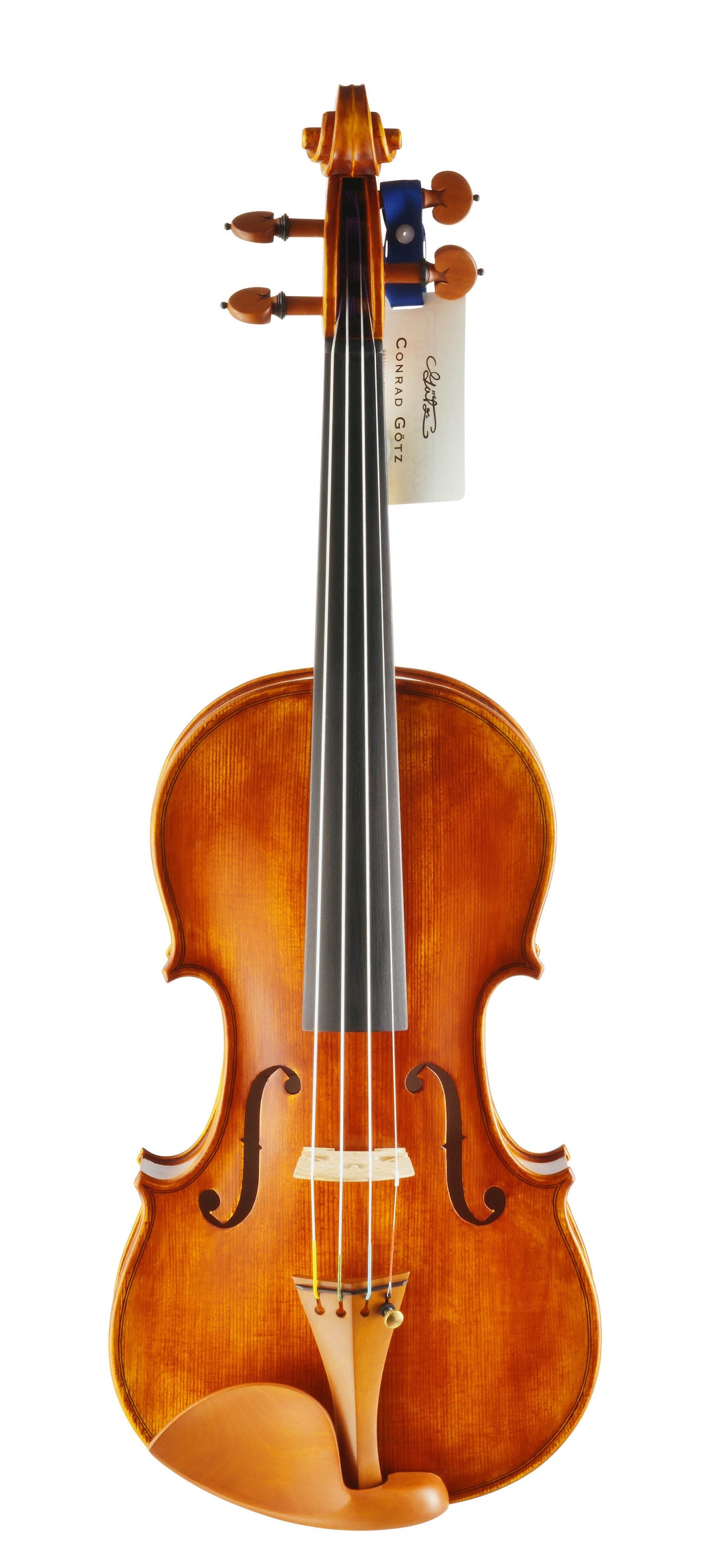 CANTONATE Violine 