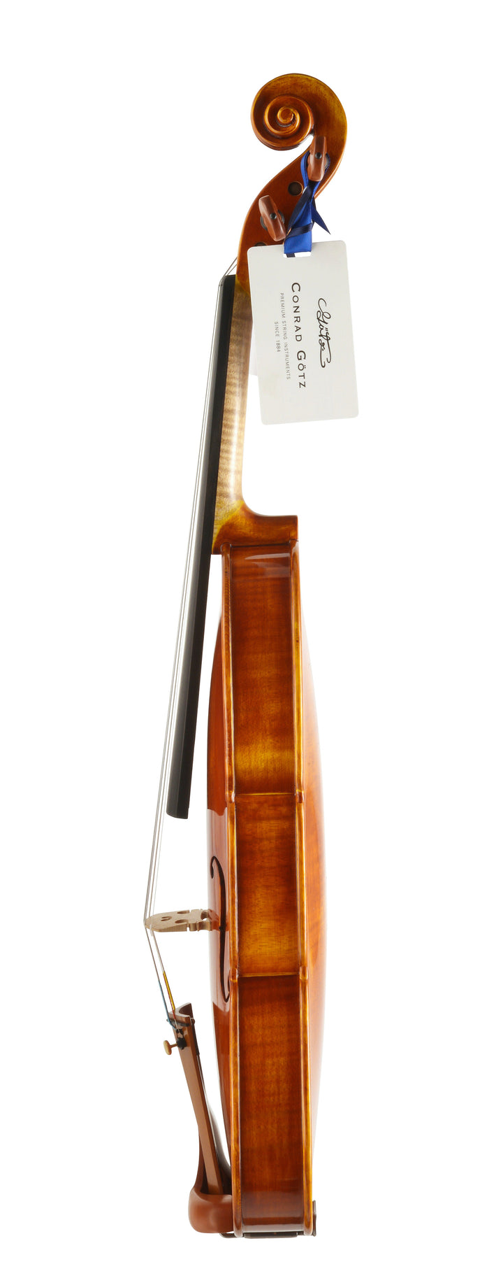 CANTONATE Violine 