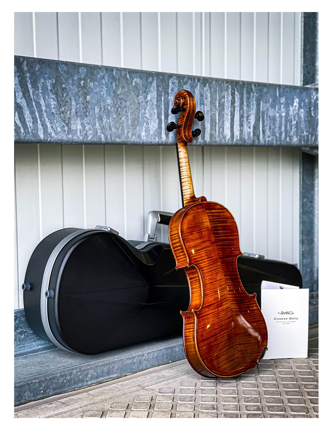 CONTEMPORARY Violin #123 CT