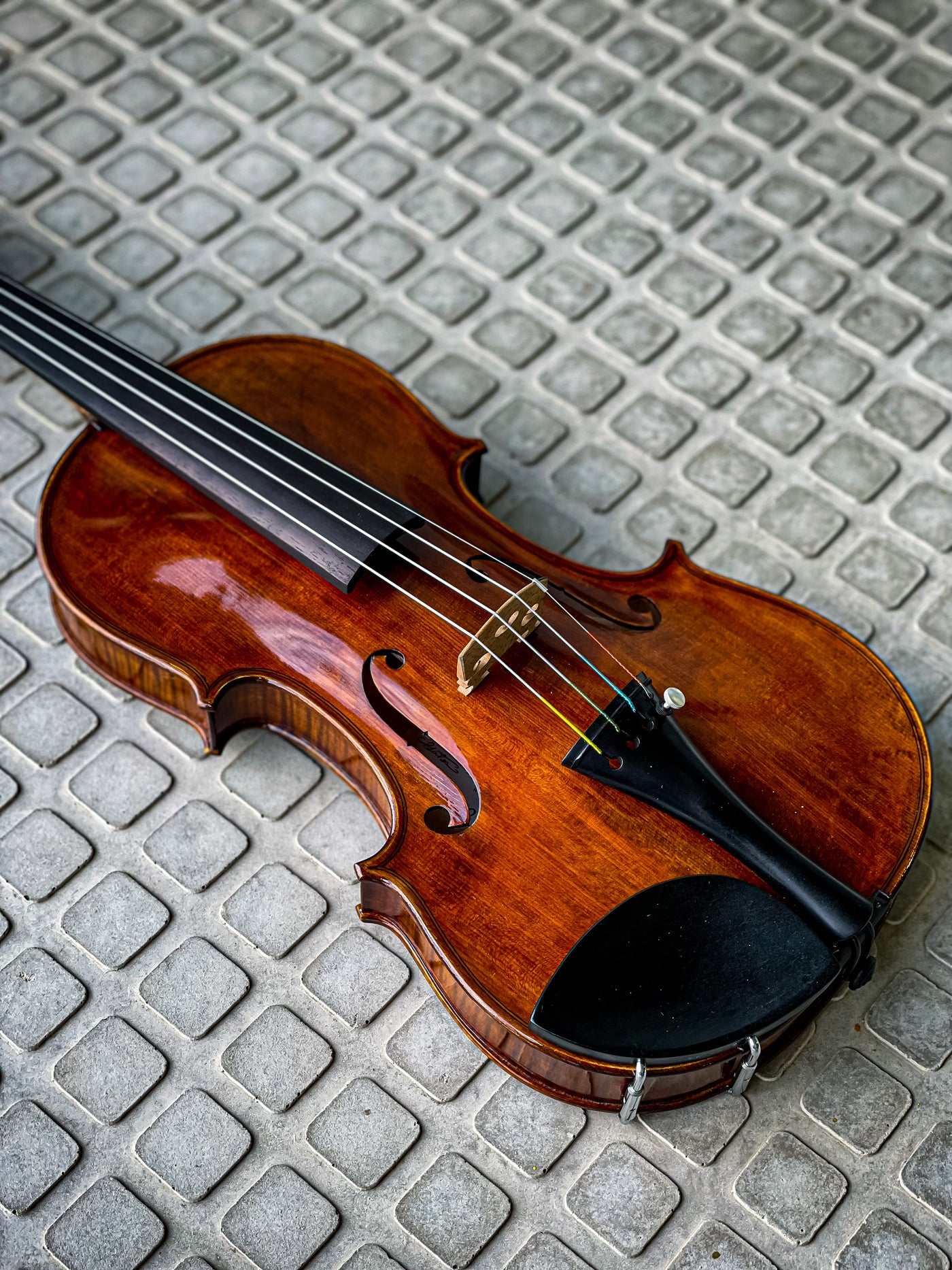 CONTEMPORARY Violin #115 CT