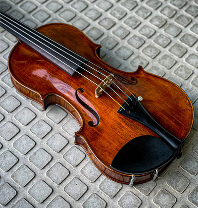 CONTEMPORARY Violin #115 CT