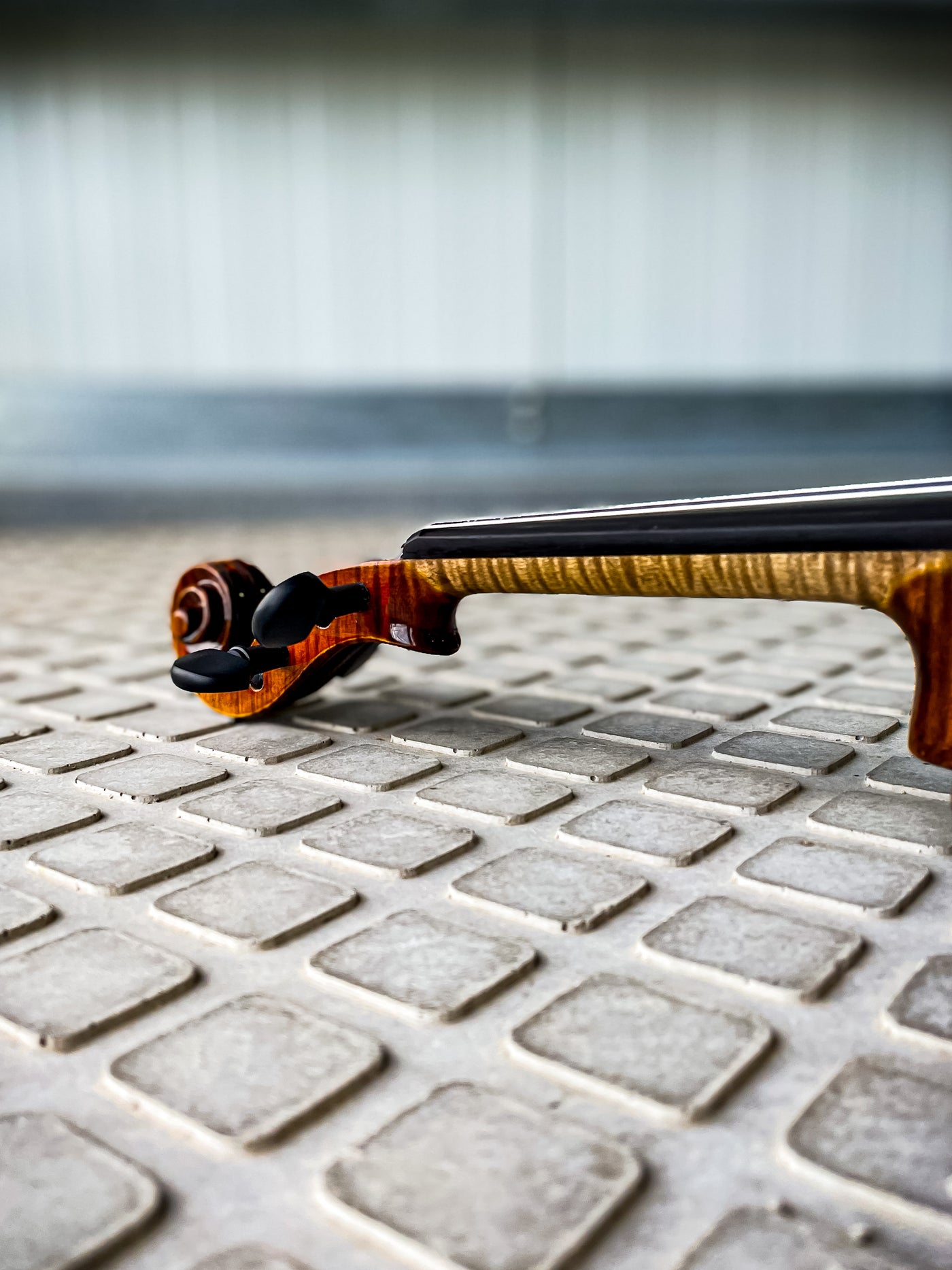 CONTEMPORARY Violin #115 CT