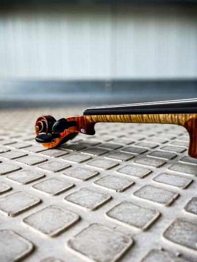 CONTEMPORARY Violin #115 CT