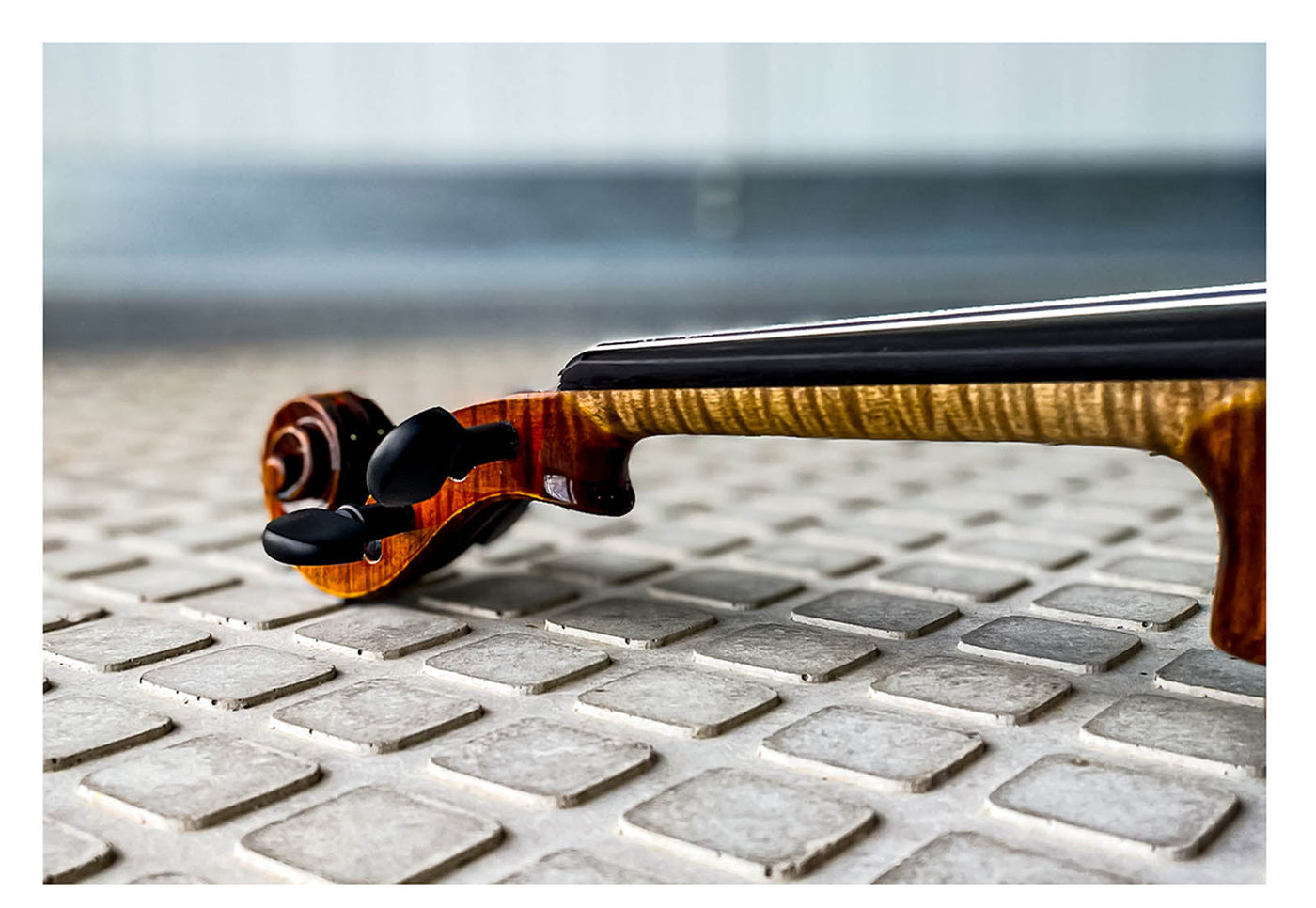 CONTEMPORARY Violin #123 CT