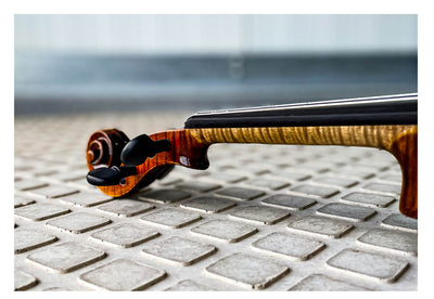 CONTEMPORARY Violin #123 CT