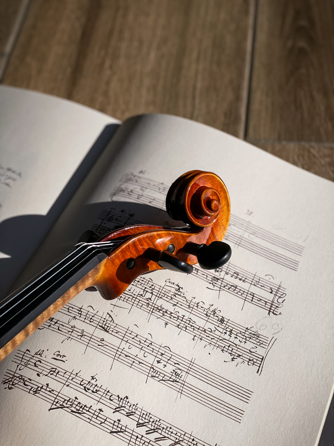 ❤ CONTEMPORARY Violine mit ganzem Boden 