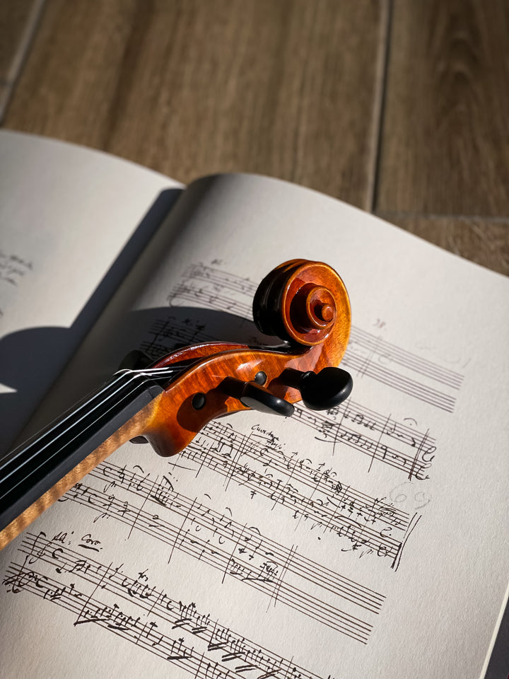 ❤ CONTEMPORARY Violine mit ganzem Boden 