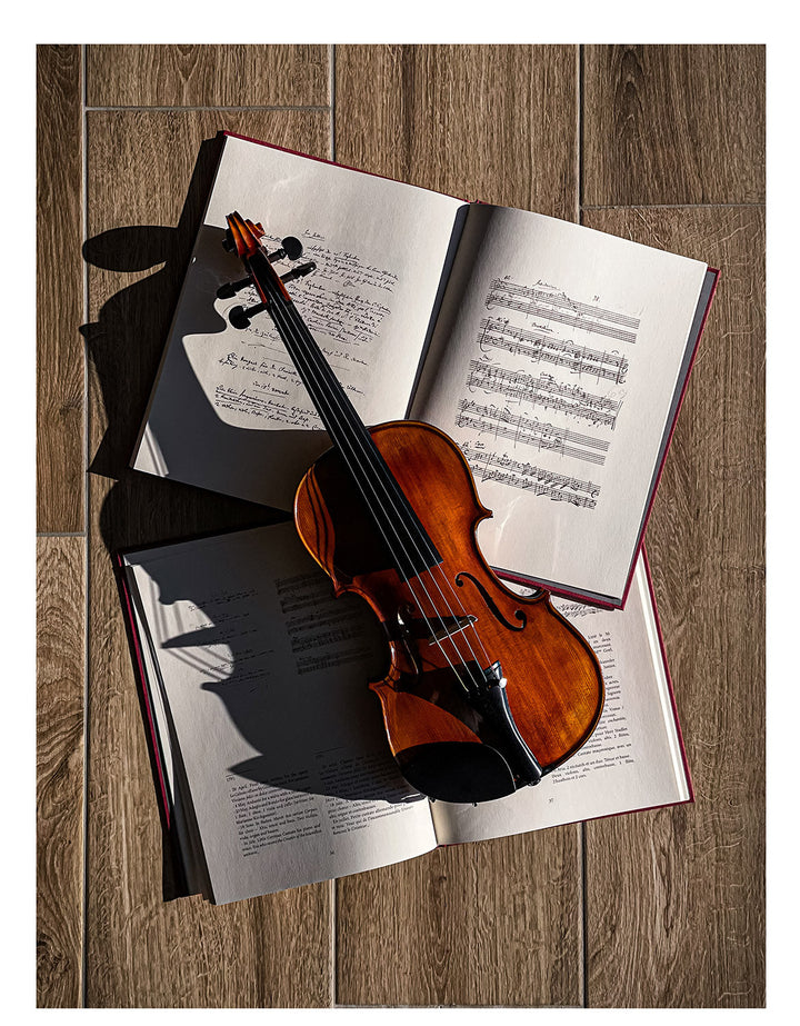 CONTEMPORARY Violine 