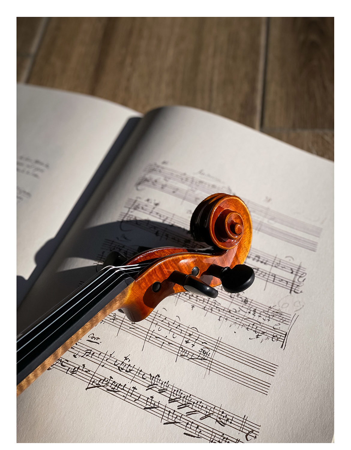 CONTEMPORARY Violin #123 CT