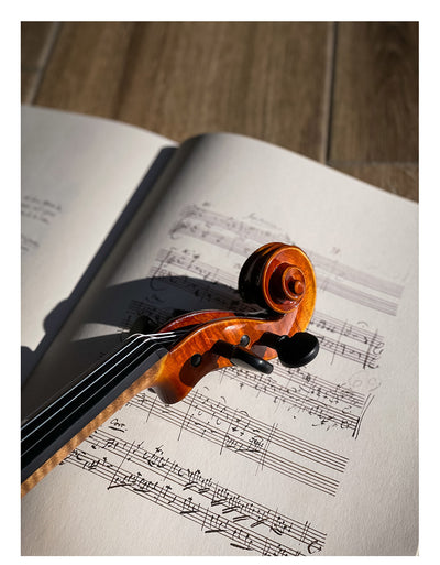 CONTEMPORARY Violin #123 CT