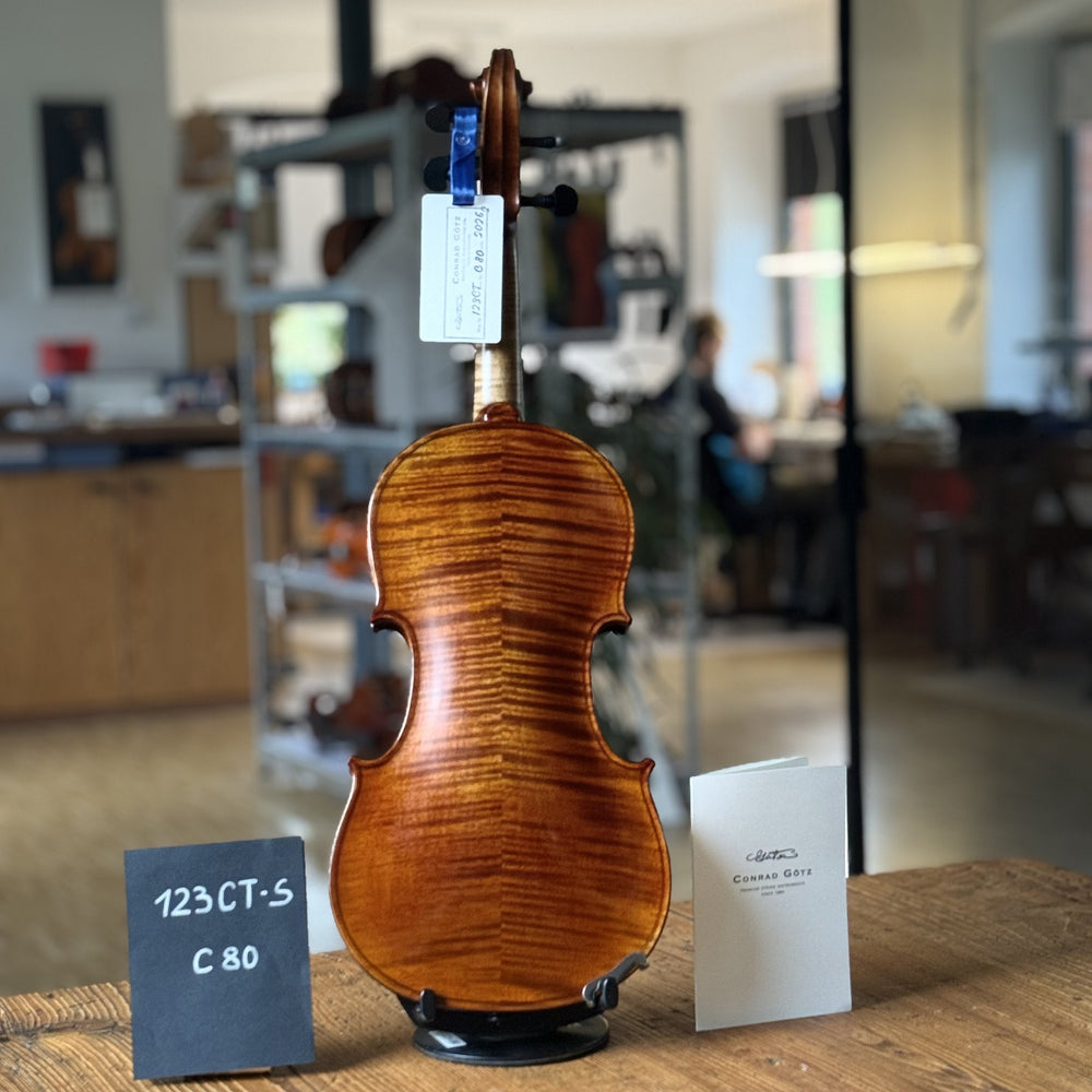 CONTEMPORARY Violine #123 CT-S, Einzelstück C80, Rückenansicht