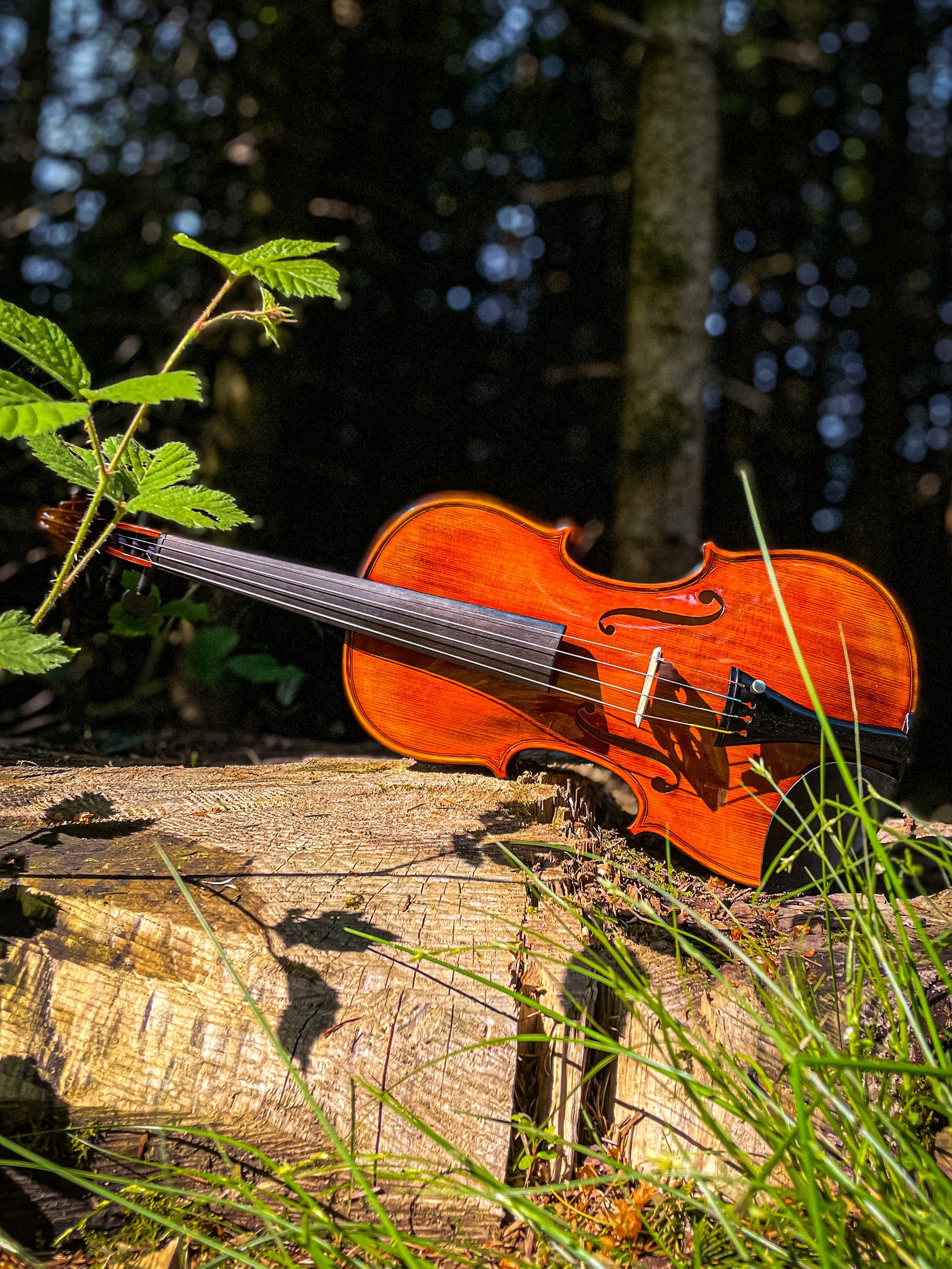 CONTEMPORARY Violin #112 CT