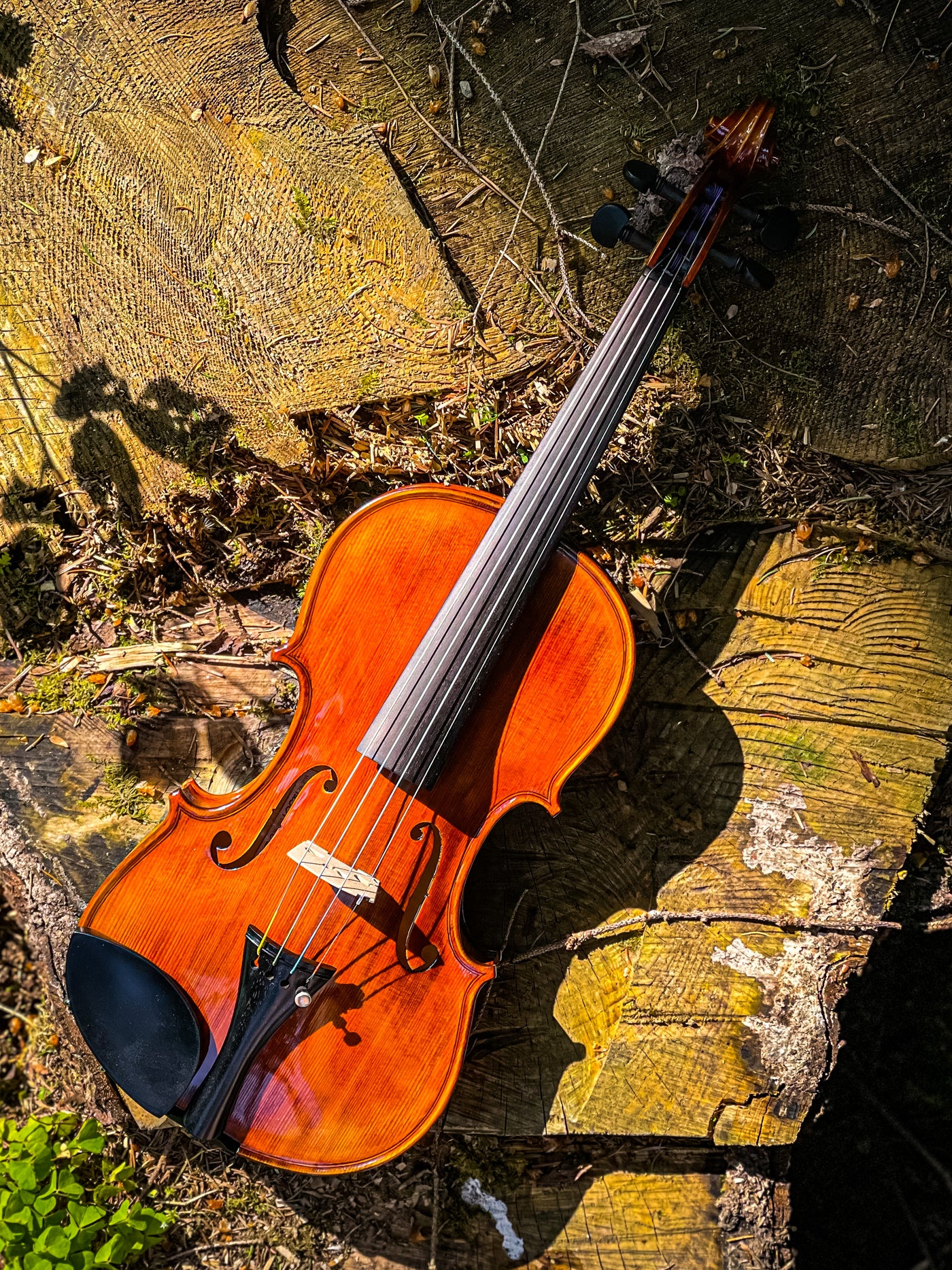 ❤ CONTEMPORARY Violine mit ganzem Boden #125F CT