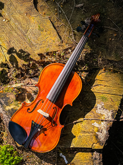 ❤ CONTEMPORARY Violine mit ganzem Boden #125F CT