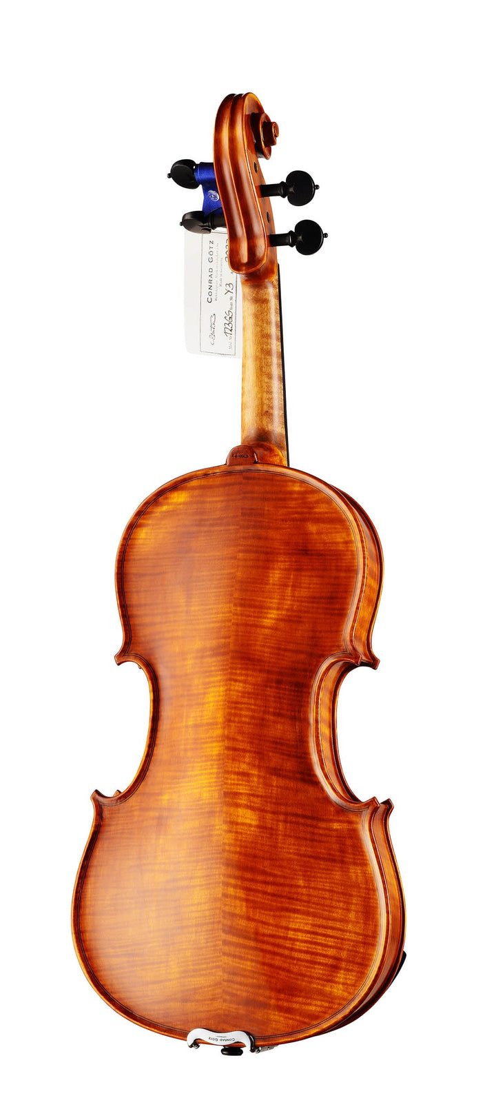GOLDEN STATE Violine 