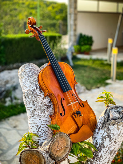 CANTONATE Violin #123 CA