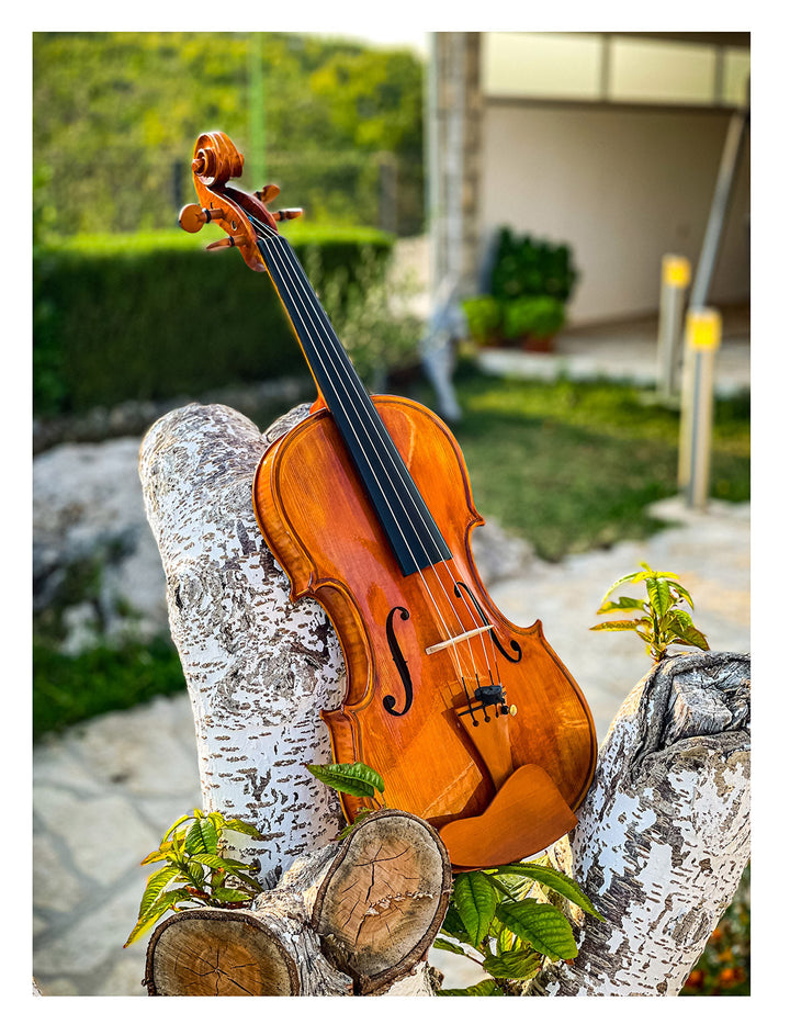 CANTONATE Violine 