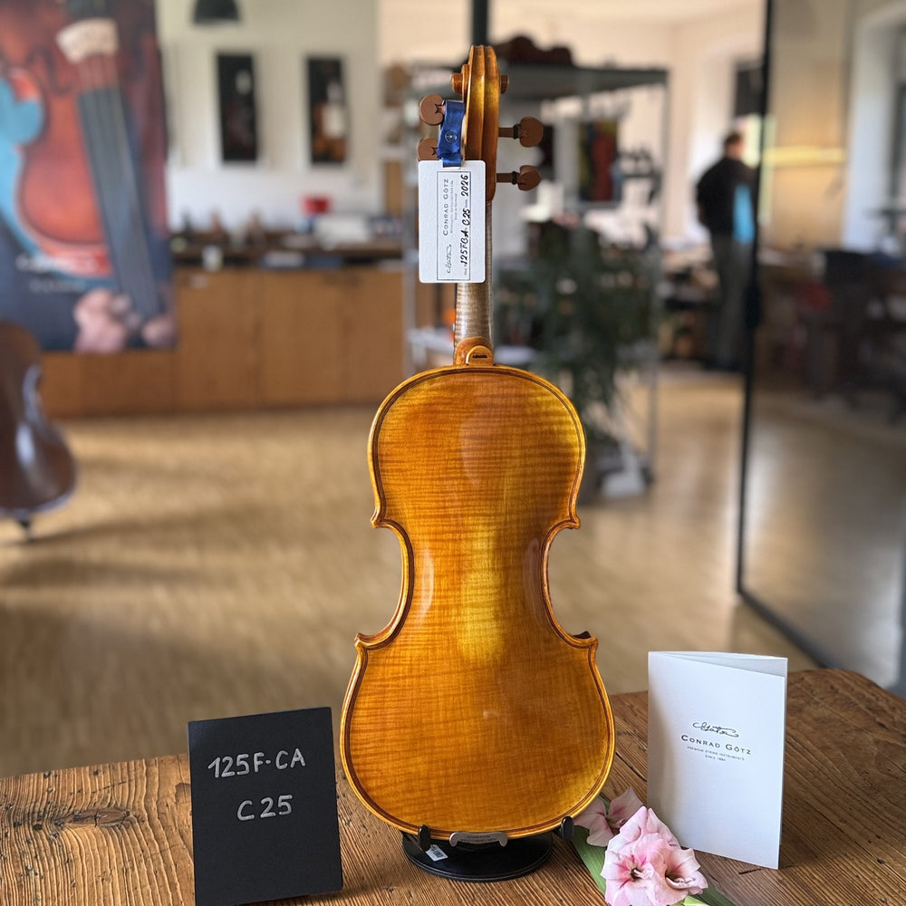 CANTONATE Violine #125F CA, Einzelstück C25, Rückenansicht