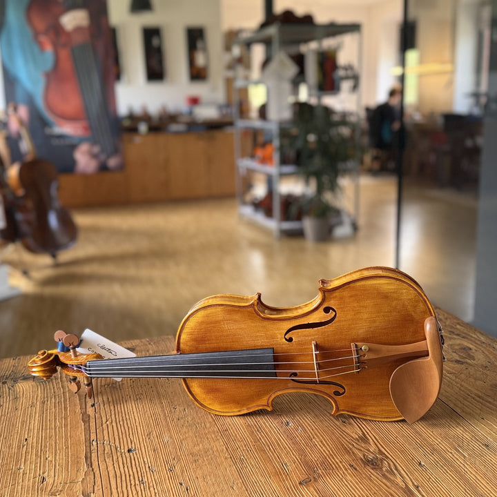CANTONATE Violine 