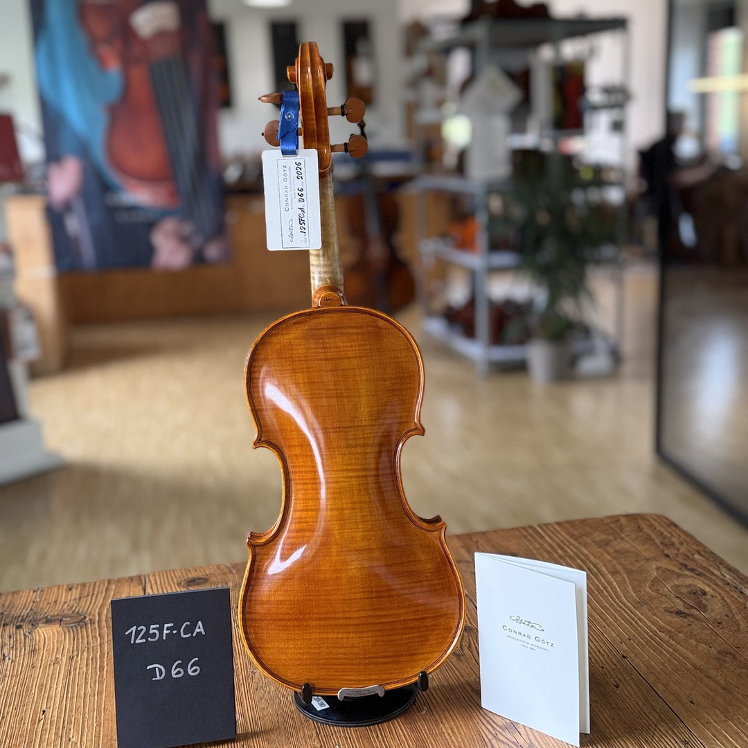 CANTONATE Violine 