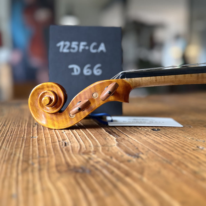 CANTONATE Violine 