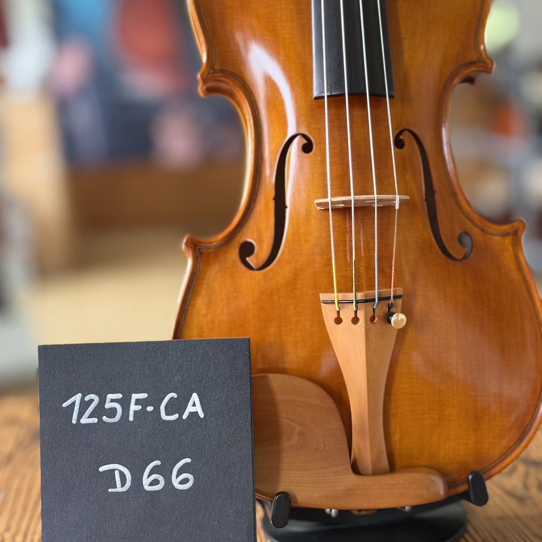 CANTONATE Violine 