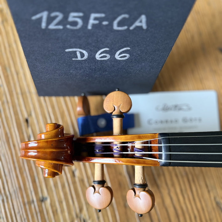 CANTONATE Violine 