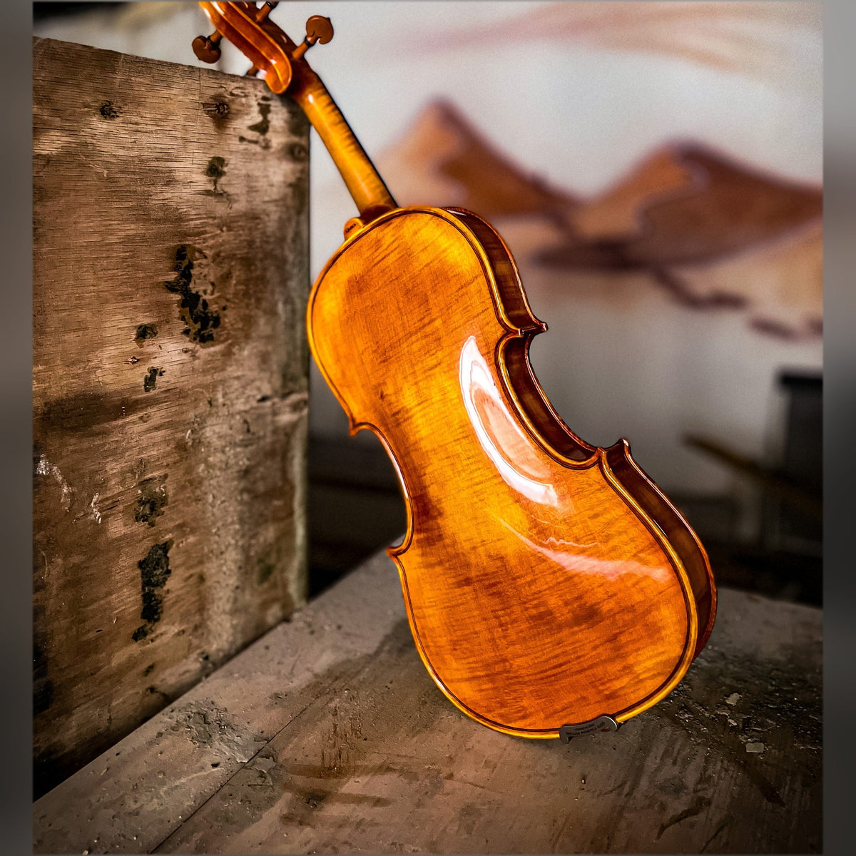 CANTONATE Violin #125F CA, CG-125F-CA-4_4