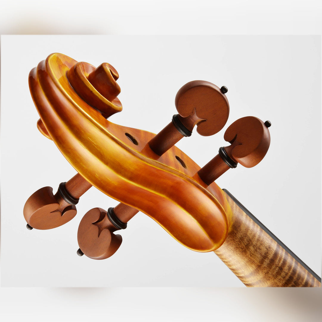 CANTONATE Violin 