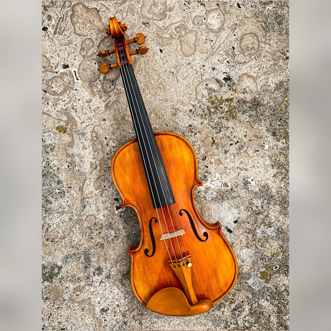 CANTONATE Violin 