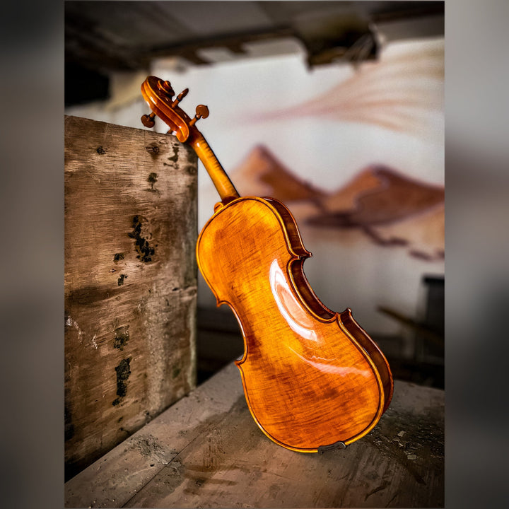 CANTONATE Violine 