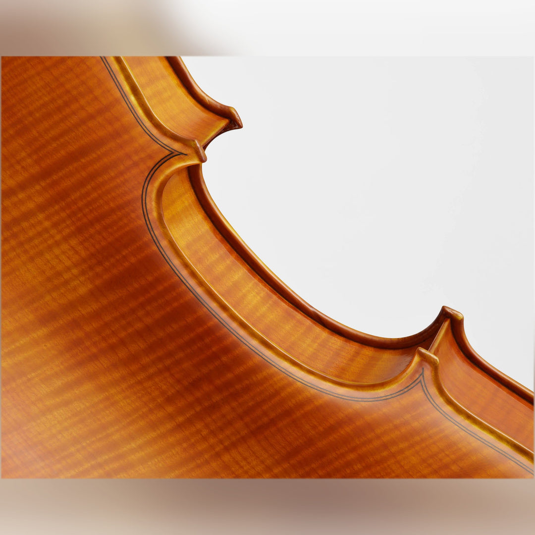 CANTONATE Violine 