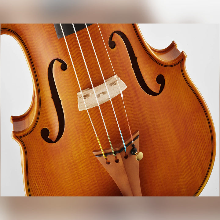 CANTONATE Violine 