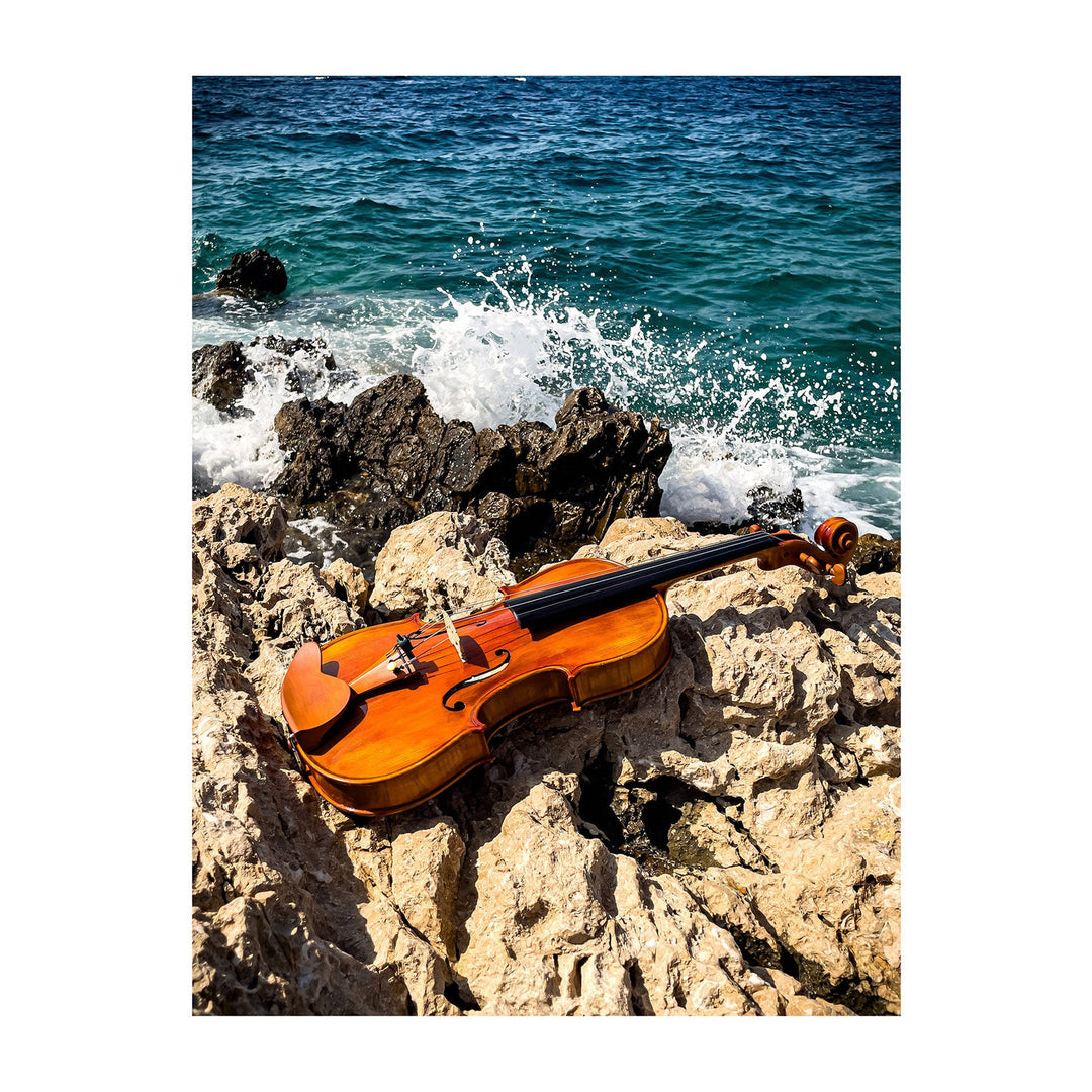 CANTONATE Violine 