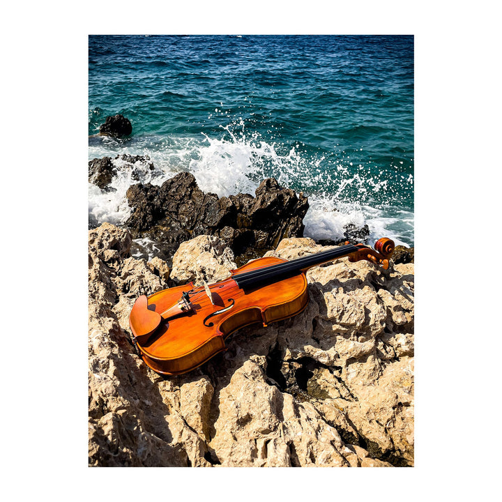 CANTONATE Violine 