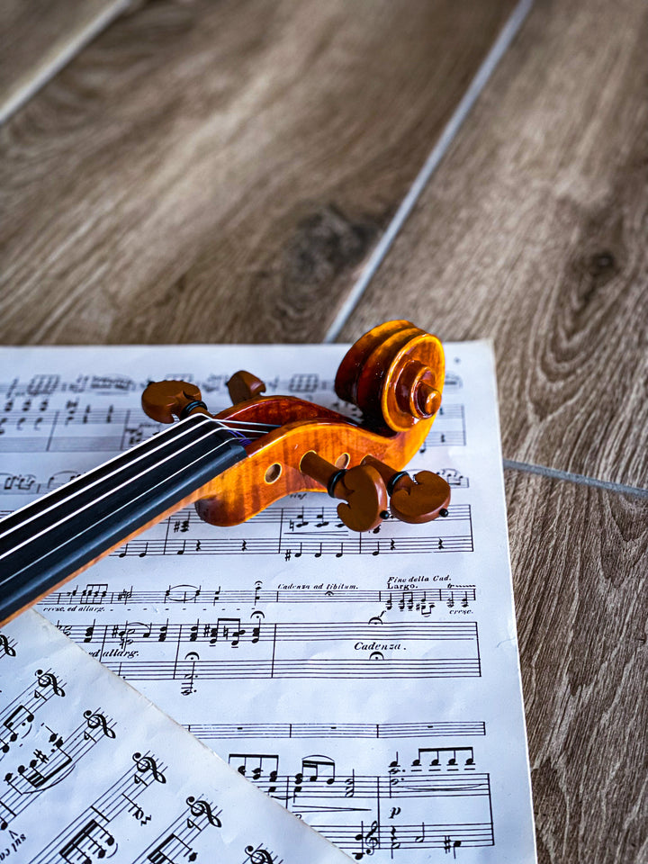 CANTONATE Violine 