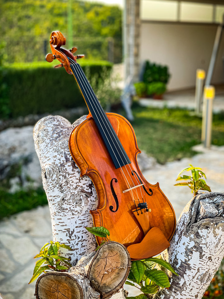 CANTONATE Violine 
