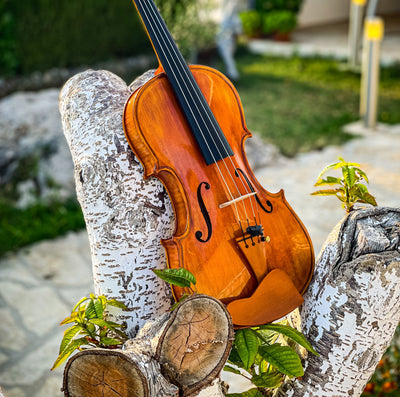 CANTONATE Violin #123 CA