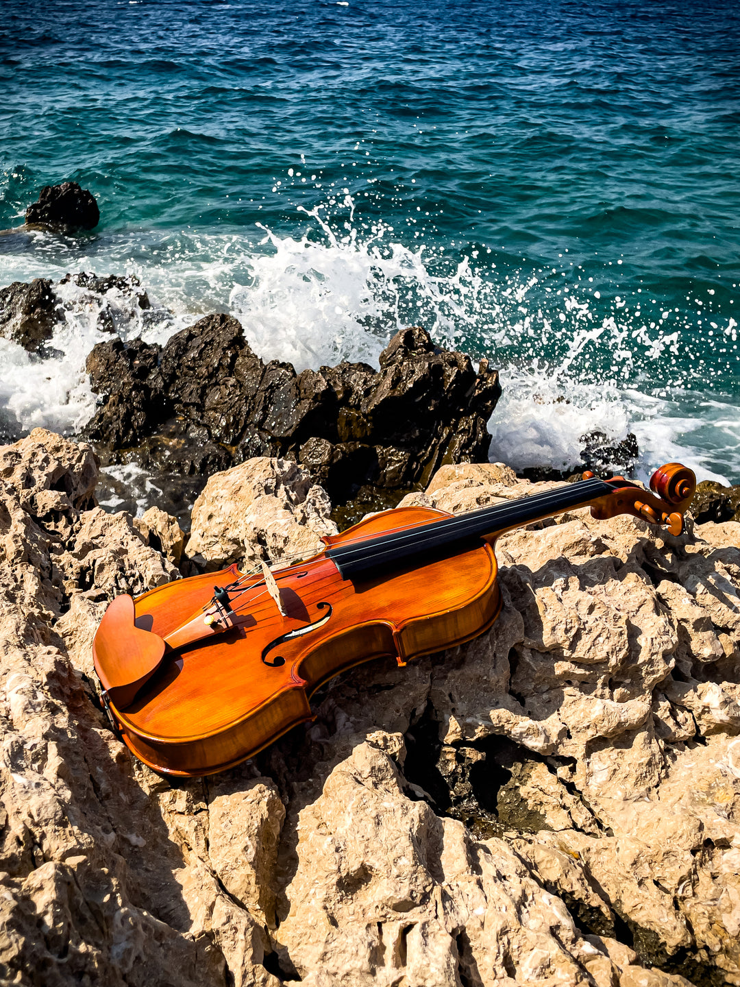 CANTONATE Violine 