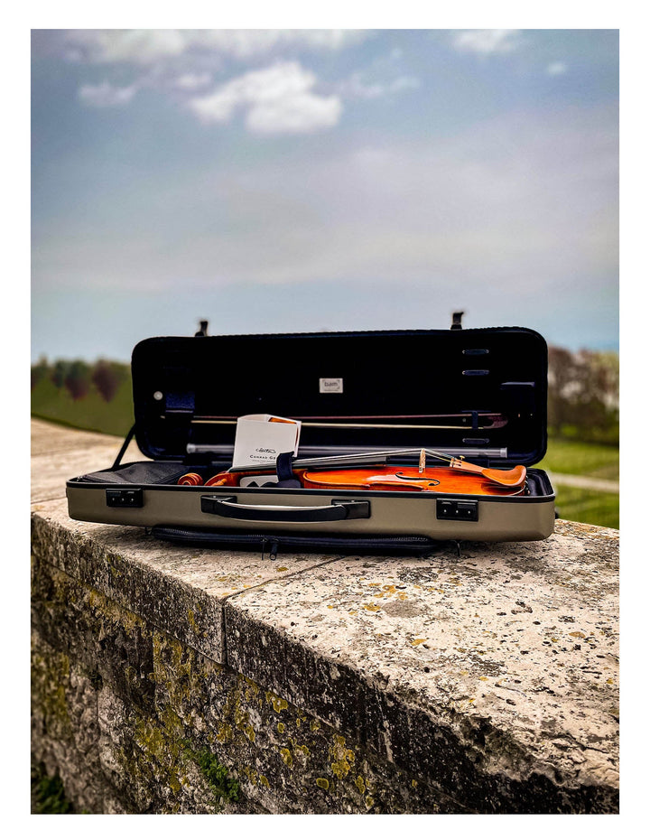 CANTONATE Violine 